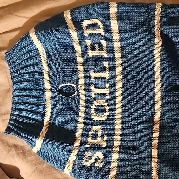 DOG OR CAT PET SWEATER. NIB Turquoise with the words "SPOILED" on it. Small - Picture 3 of 9